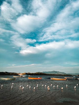 PESCADORES E SEUS BARCOS