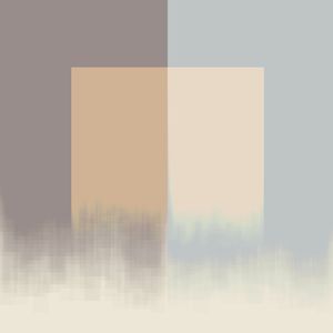 ASYMMETRY V