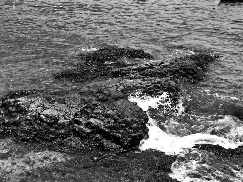 NAS ONDAS DA PRAIA