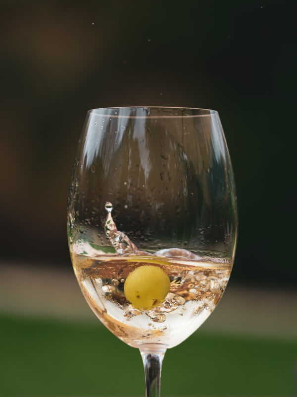 A UVA E O VINHO BRANCO