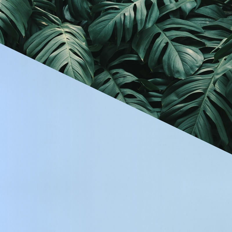 FLORAL E AZUL