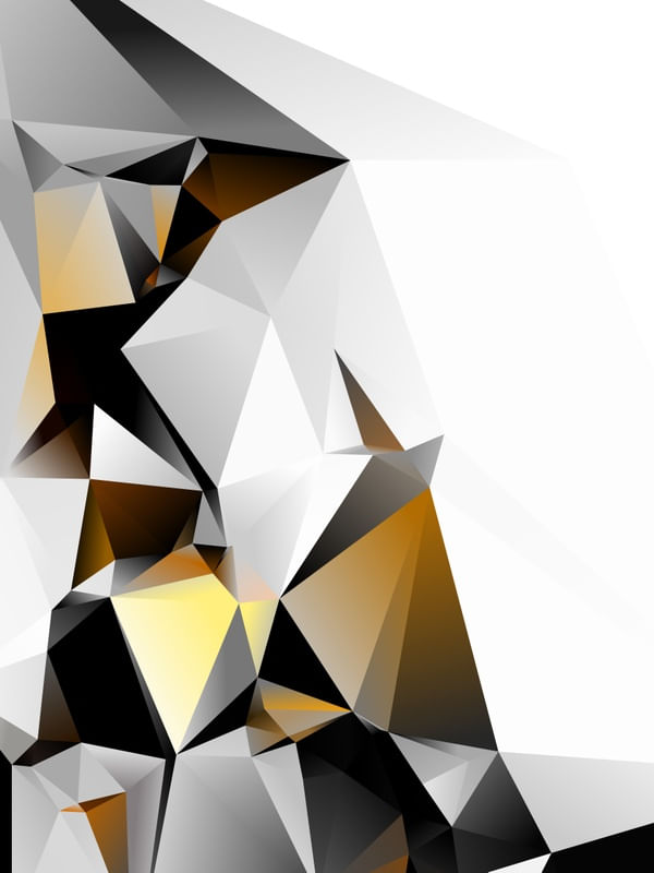 ARTE MODERNA COM POLIGONOS - COLORIDA - LOW POLY- 11B