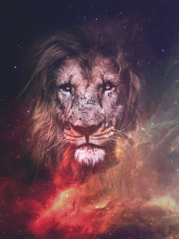 THE LION AND GALAXY