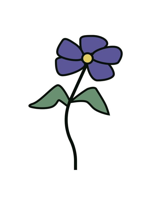 MELHOR PINTURA DE UMA FLOR DO DESERTO