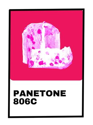 PANETONE MAGENTA