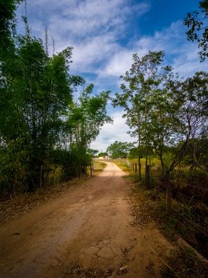CAMINHOS DE MINAS GERAIS