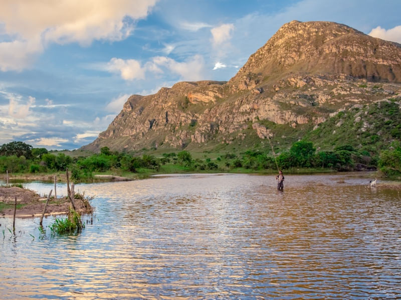 O PESCADOR DA LAPINHA