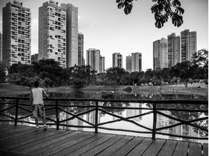 PARQUE FLAMBOYANT