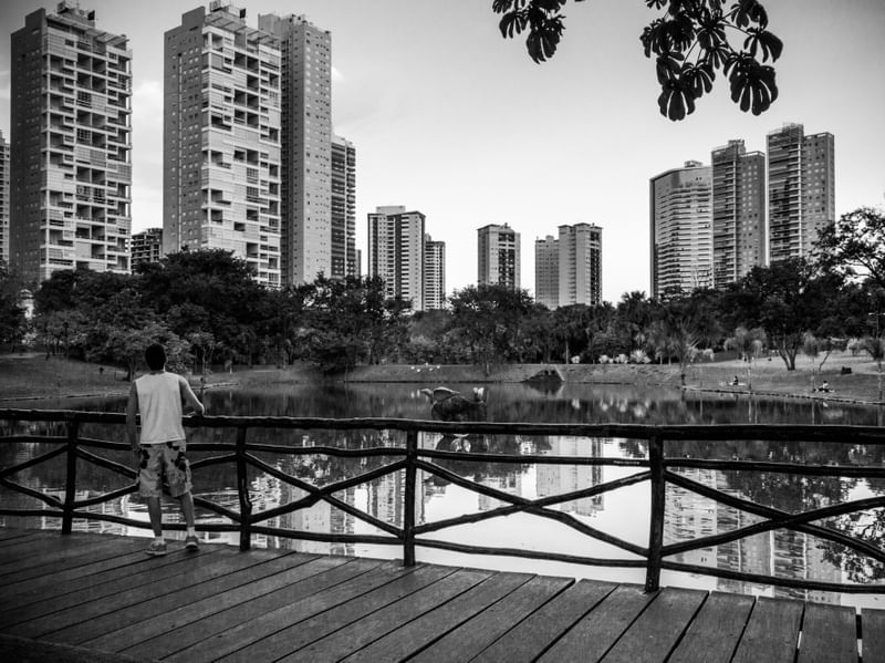 PARQUE FLAMBOYANT