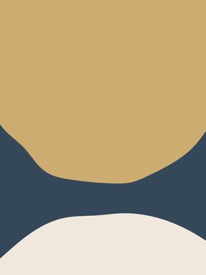 ORGANICO CORES 17