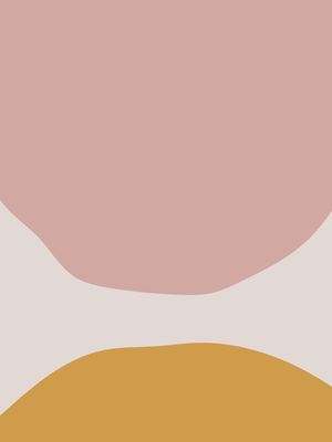 ORGANICO CORES 19