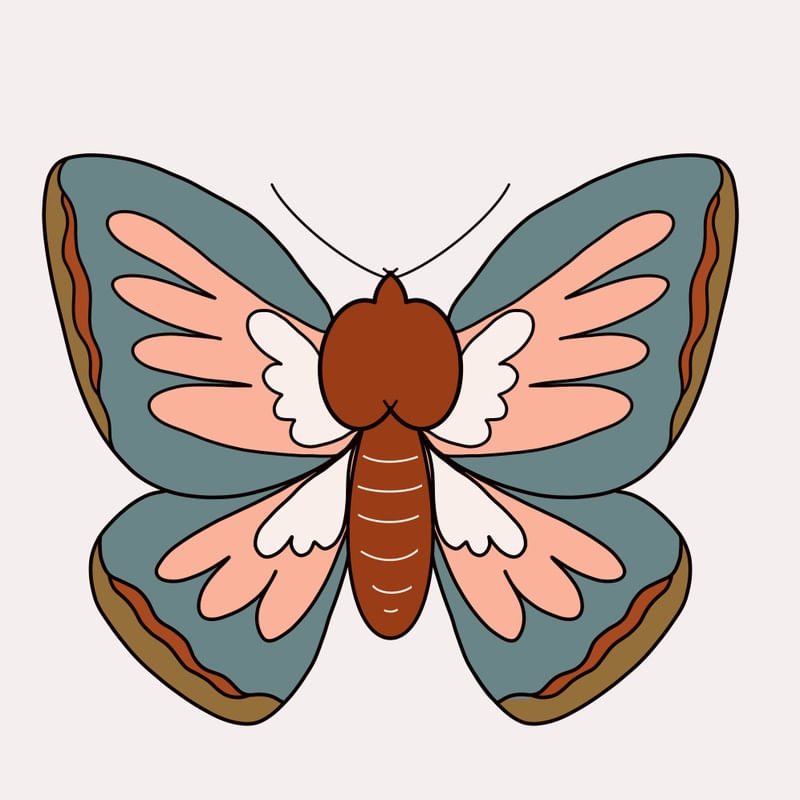 BORBOLETA ESPECIAL