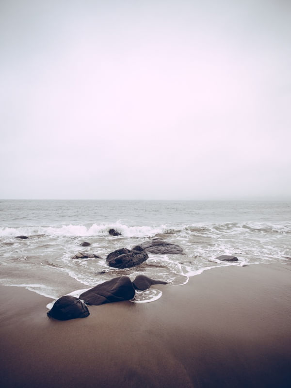 NATURE MOOD 01