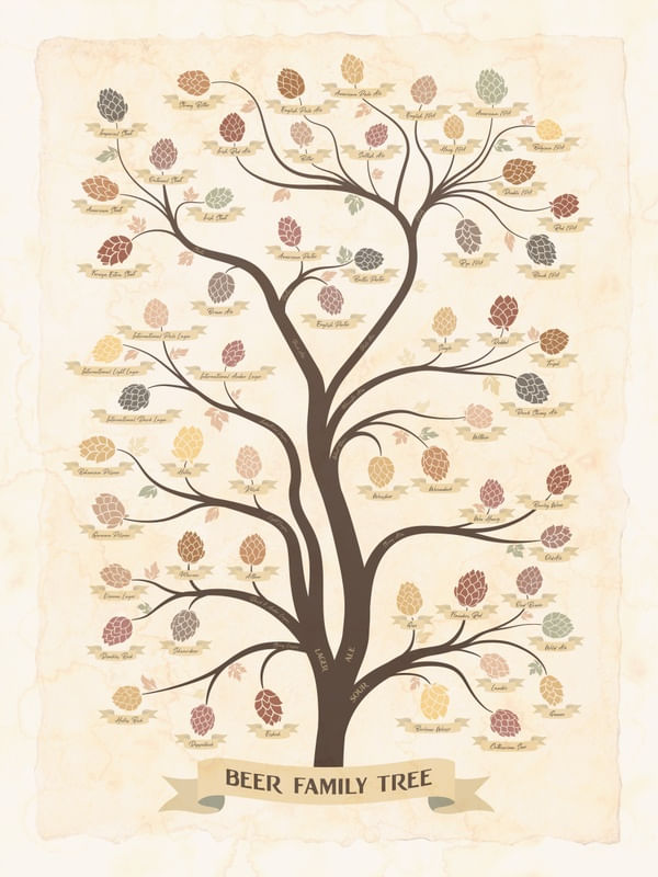 BEER FAMILY TREE