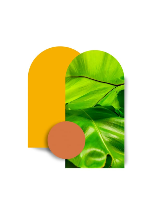 NATURE ARC