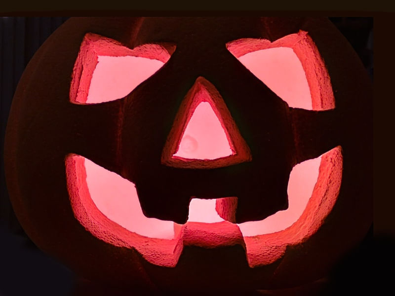 CLOSE UP JACK