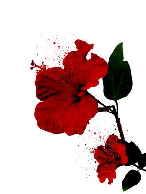 FLORES VERMELHAS X