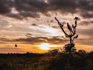 POR DO SOL EM VALENTE COM CARCARÁ