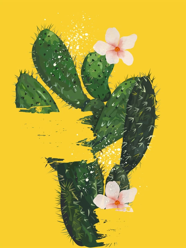 CACTO AMARELO