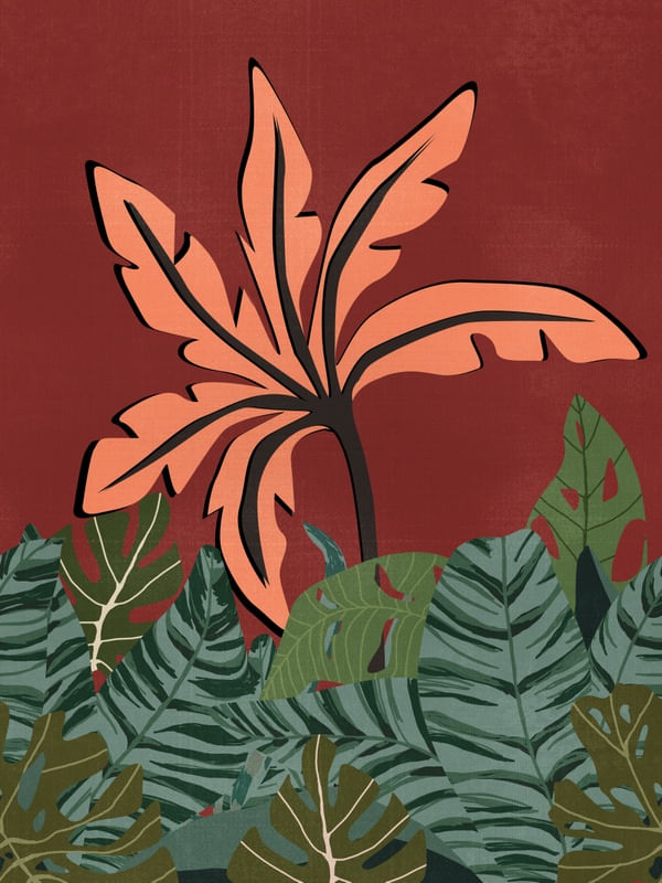 NATUREZA EM FOLHAS