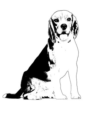 CÃO BEAGLE