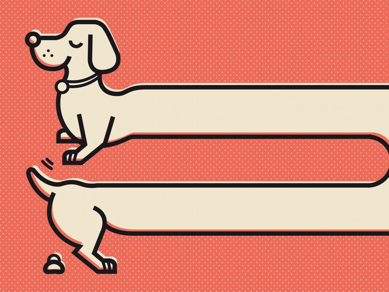 DOG POOP
