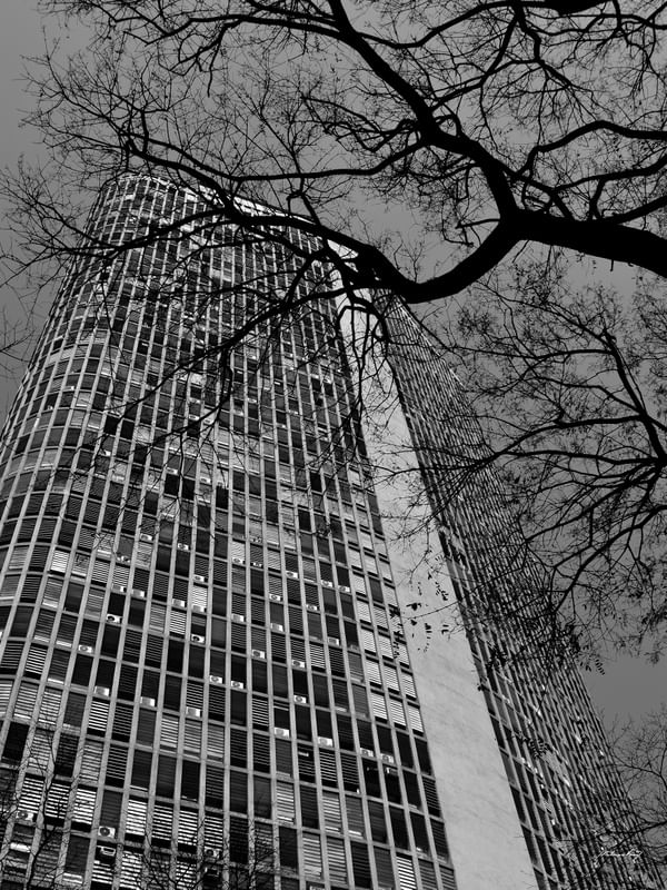 AS ÁRVORES E O EDIFÍCIO ITÁLIA
