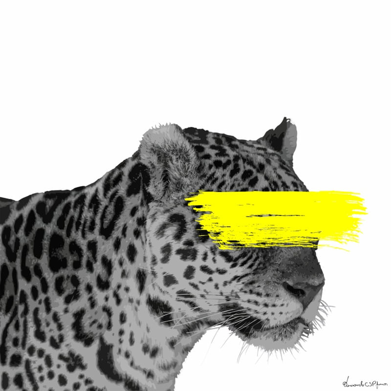 APINTADA