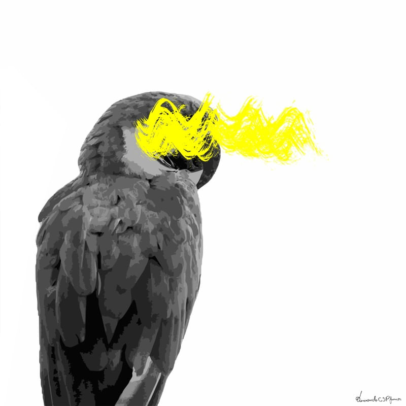 AAZUL