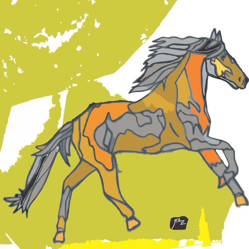 ASSOBIO O CAVALO MALHADO