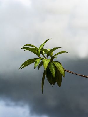 LÁ VEM A TEMPESTADE 3R