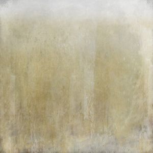 ABSTRACT TERRA SUAVE 1