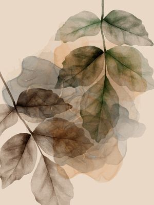 TRANSPARENT ABSTRACT 07