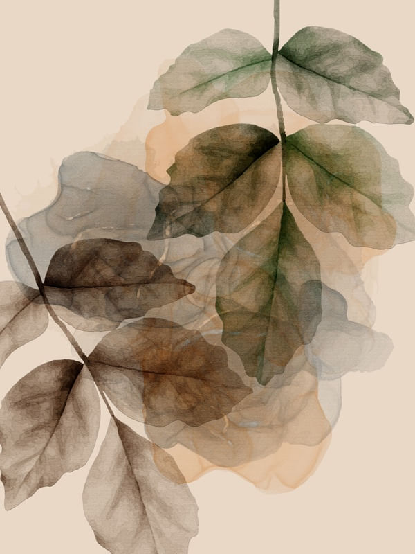 TRANSPARENT ABSTRACT 07