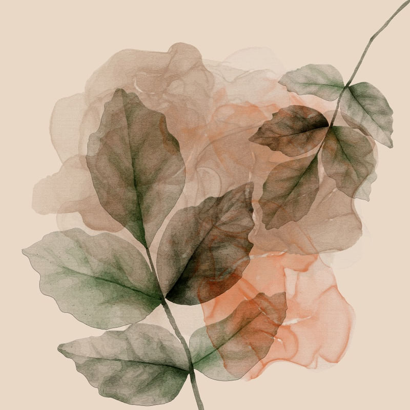 TRANSPARENT ABSTRACT 09
