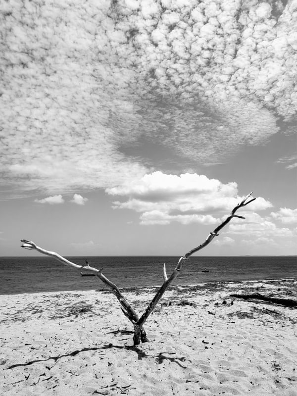PRAIA - BEACH - PB - DV