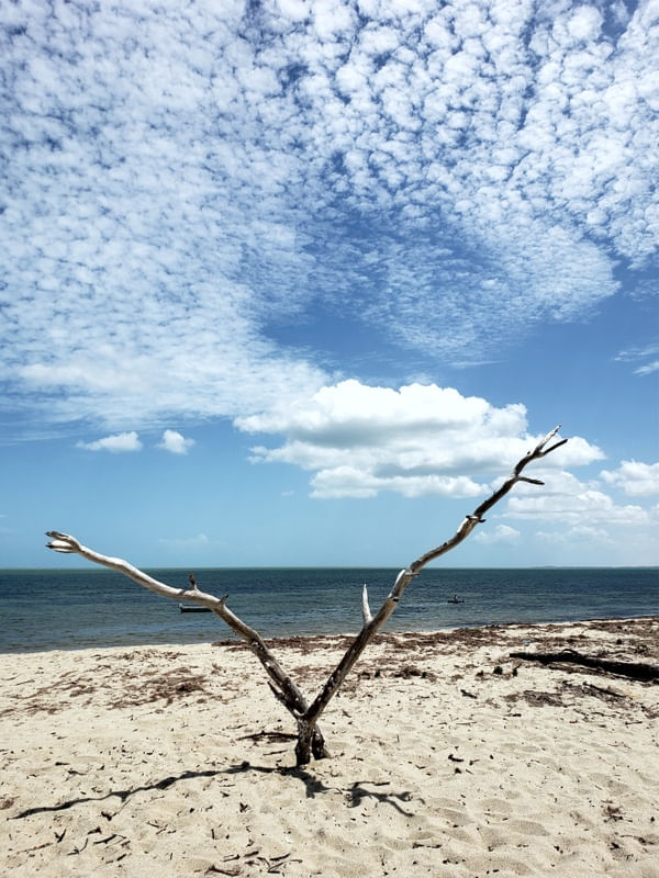 PRAIA - BEACH - DV