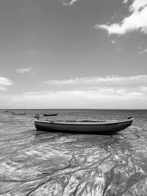 BARCO - BOAT - PB - DV