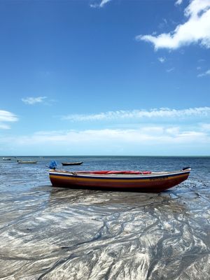BARCO - BOAT - DV