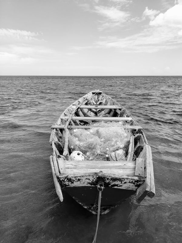 BARCO - BOAT - 3 - PB - DV