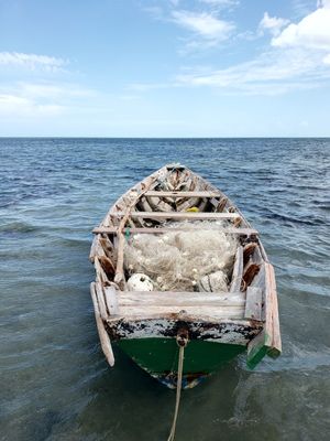BARCO - BOAT - 3 - DV
