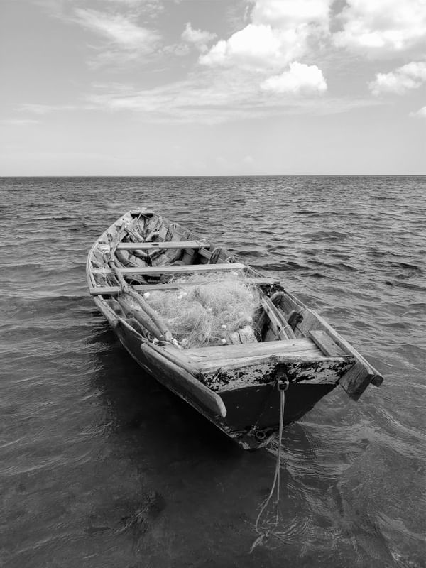 BARCO - BOAT - 4 - PB - DV