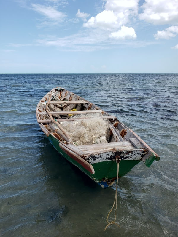 BARCO - BOAT - 4 - DV