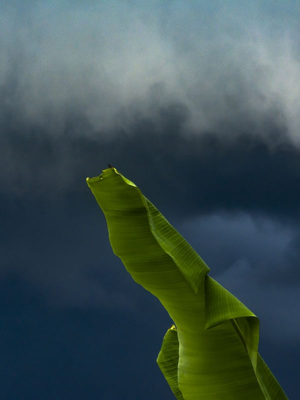 LÁ VEM A TEMPESTADE 4R