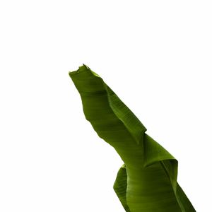 BANANEIRA 1Q