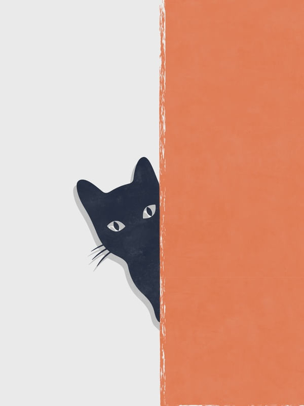 CAT PEEKING