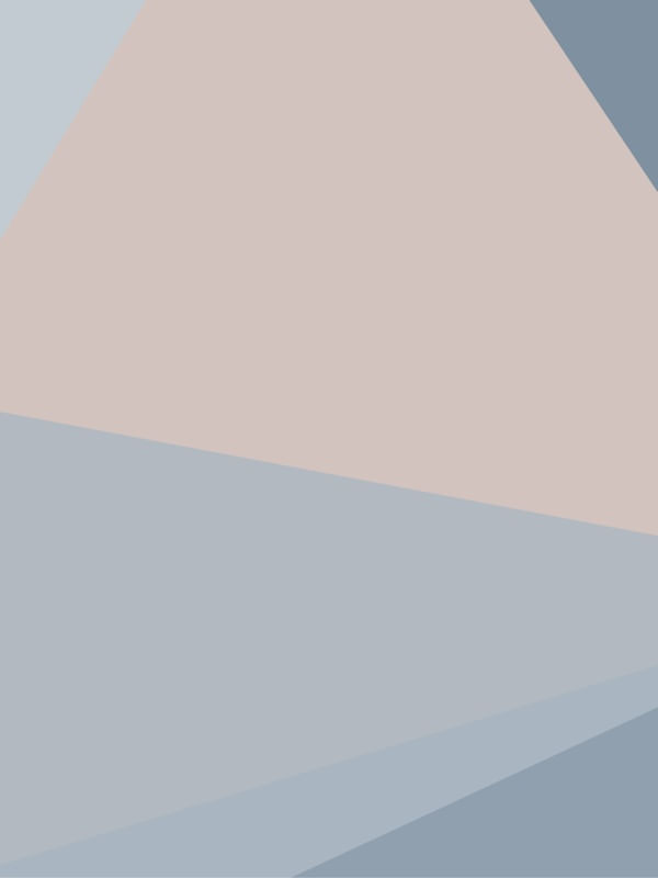 GEOMÉTRICO MINIMALISTA 01