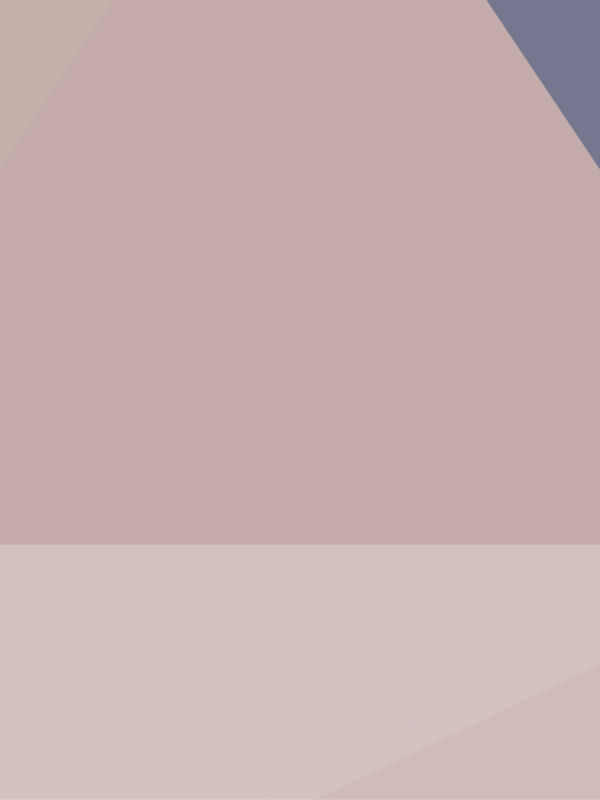 GEOMÉTRICO MINIMALISTA 02