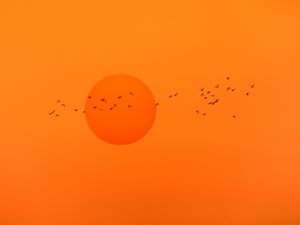 VOO NO PÔR DO SOL