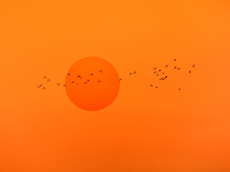 VOO NO PÔR DO SOL